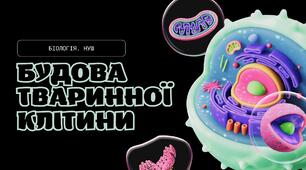 Презентація: "Будова тваринної клітини"