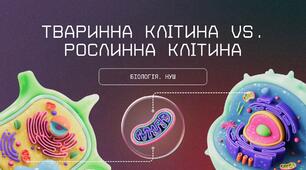 Презентація: "Тваринна клітина Vs. рослинна клітина"