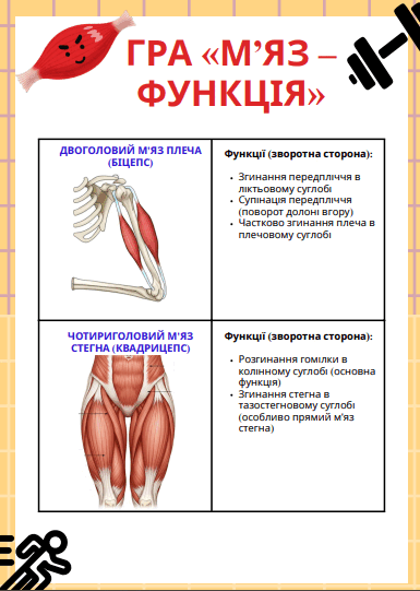 0801644c-d05c-385x541.png