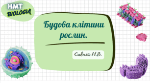 Будова клітин рослини.  НМТ