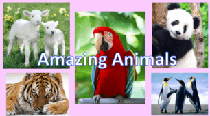 «Amazing animals». Презентація та конспект