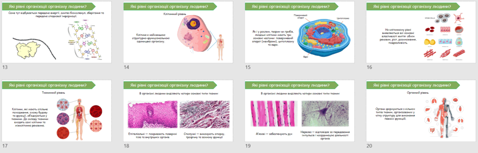 08016790-645e-940x302.png