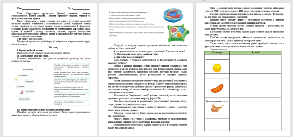 080167yn-0cc0-940x440.png