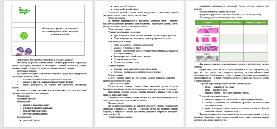 080167yo-582b-940x437.png