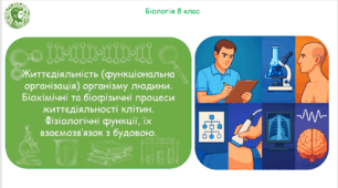 Презентація, конспект уроку та робочі аркуші на тему "Життєдіяльність (функціональна організація) організму людини. Біохімічні та біофізичні процеси життєдіяльності клітин. Фізіологічні функції, їх взаємозв’язок з будовою". 8 клас НУШ