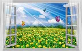 080168ln-3521-284x178.jpg