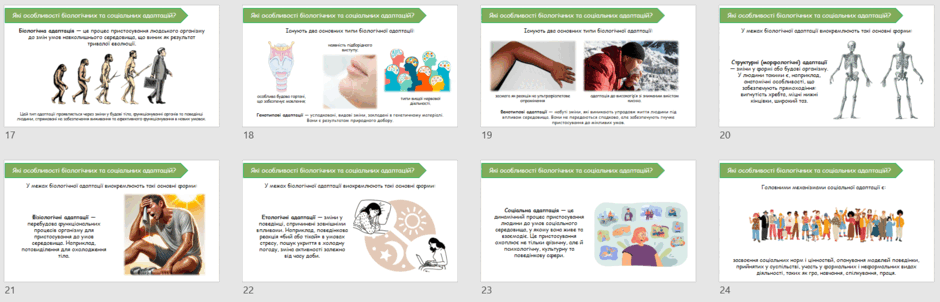 08016905-db5f-940x302.png