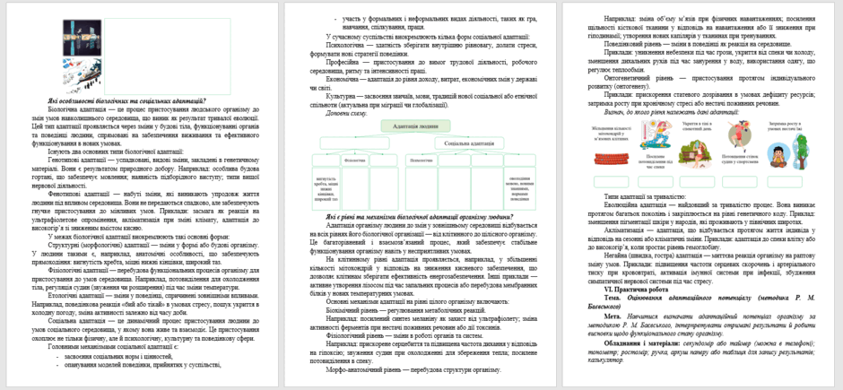 0801690a-3f30-940x435.png