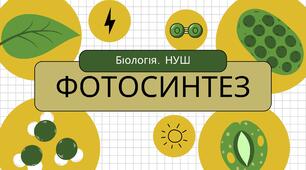 Презентація: "Фотосинтез"