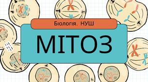 Презентація: "Мітоз"