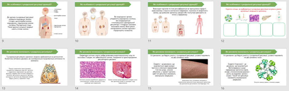 08016cmt-fd9d-940x296.png