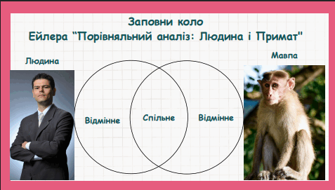 08016d0q-9825-477x271.png