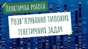 Практична робота «Розв’язування типових генетичних задач»