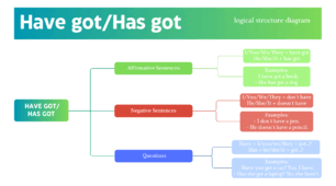 Have got/Has got (logical structure diagram)
