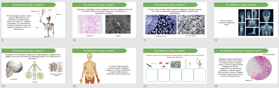 08016ecf-5d99-940x297.png