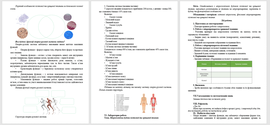 08016eco-769b-940x436.png