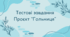 Тестові завдання проєкт "Гольниця"