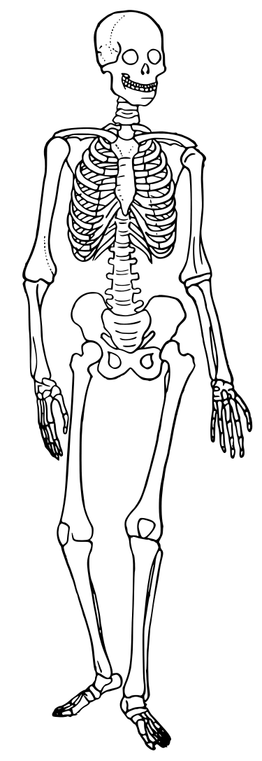 08016fbi-b87a-375x1087.png