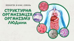 Структурна організація організму людини. 8 клас НУШ