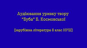 Аудіювання уривку твору “Буба” Б. Космовської (зарубіжна література 8 клас НУШ)