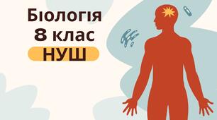 Спинний мозок - НУШ