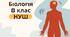 Тканини організму людини - НУШ 