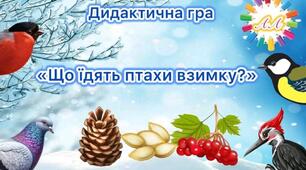 Що їдять птахи взимку