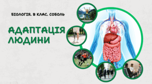 Адаптація людини. 8 клас НУШ