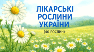 🌿 Наочний матеріал «ЛІКАРСЬКІ РОСЛИНИ УКРАЇНИ (40 рослин)»