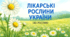 🌿 Наочний матеріал «ЛІКАРСЬКІ РОСЛИНИ УКРАЇНИ (40 рослин)»