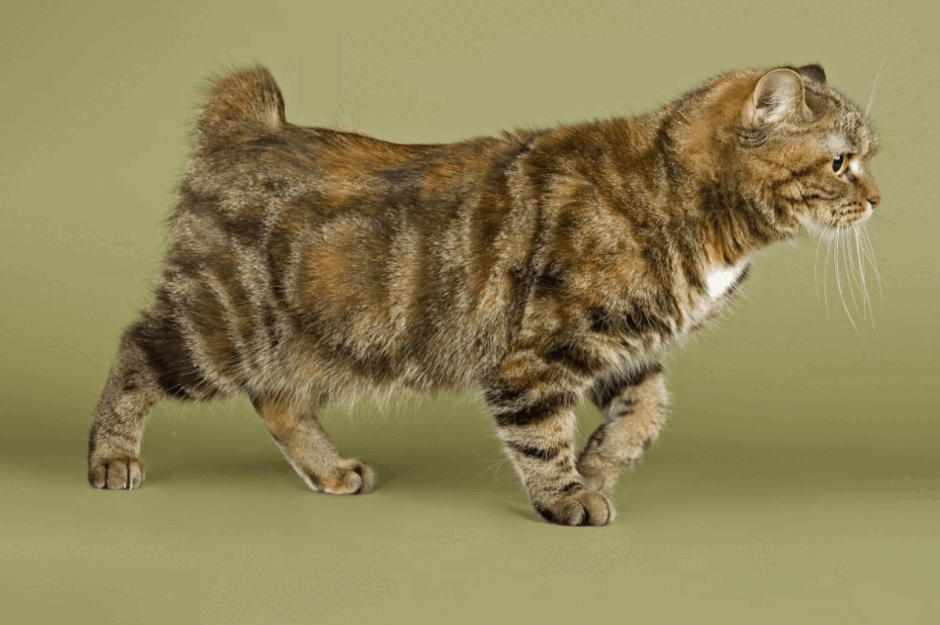 08016hmm-45c7-940x625.png