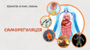 Саморегуляція. 8 клас НУШ
