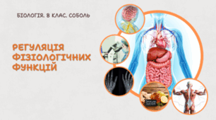 Регуляція фізіологічних функцій. 8 клас НУШ