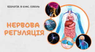 Нервова регуляція. 8 клас НУШ