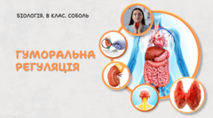 Гуморальна регуляція.8 клас НУШ