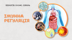 Імунна регуляція.8 клас НУШ