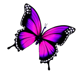 08016jqv-30de-284x281.png