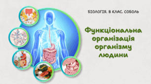 8 клас НУШ. Функціональна організація організму людини 