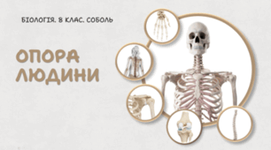 Опора людини. 8 клас НУШ