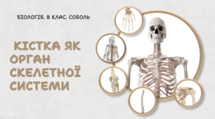 Кістка як орган скелетної системи.8 клас НУШ