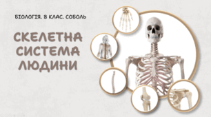 Скелетна система людини. 8 клас НУШ