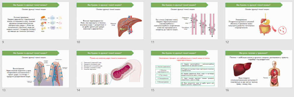 08016kpf-5017-940x312.png
