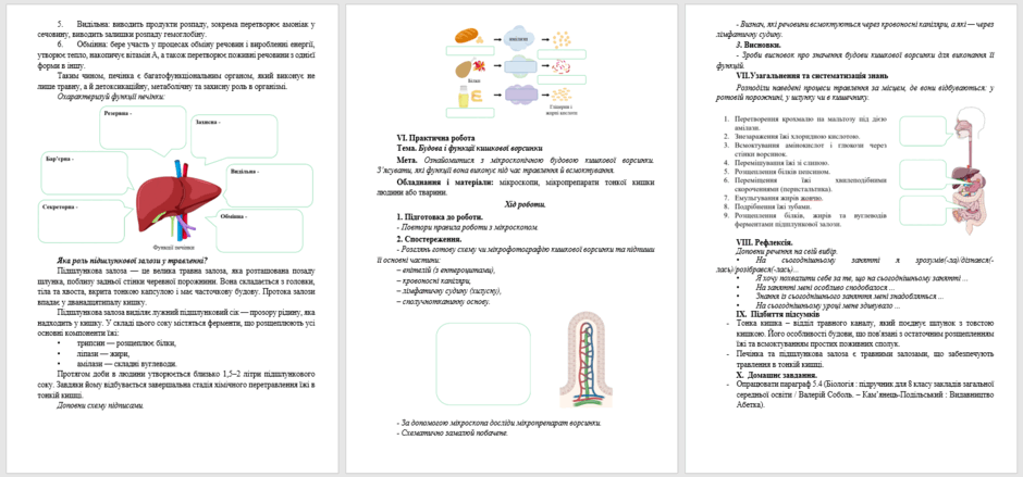 08016kpl-7d71-940x439.png