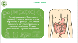 Презентація, конспект уроку та робочі аркуші на тему "Тонкий кишківник. Компоненти будови (оболонки, кишкові залози, ворсинки), їх функції. Особливості процесів та регуляція травлення у тонкому кишківнику". 8 клас НУШ