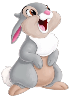 08016l0x-379b-314x434.png