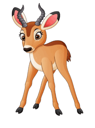 08016l1d-e437-321x435.png