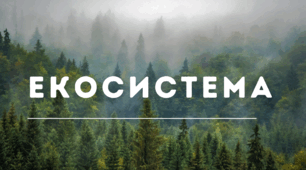 Презентація: "Екосистема"