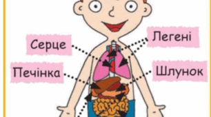 Організм людини