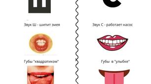 Диференціація звуків С-Ш