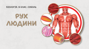 Рух людини. 8 клас НУШ